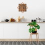 Wallity Life Begins After Coffee - Cobre